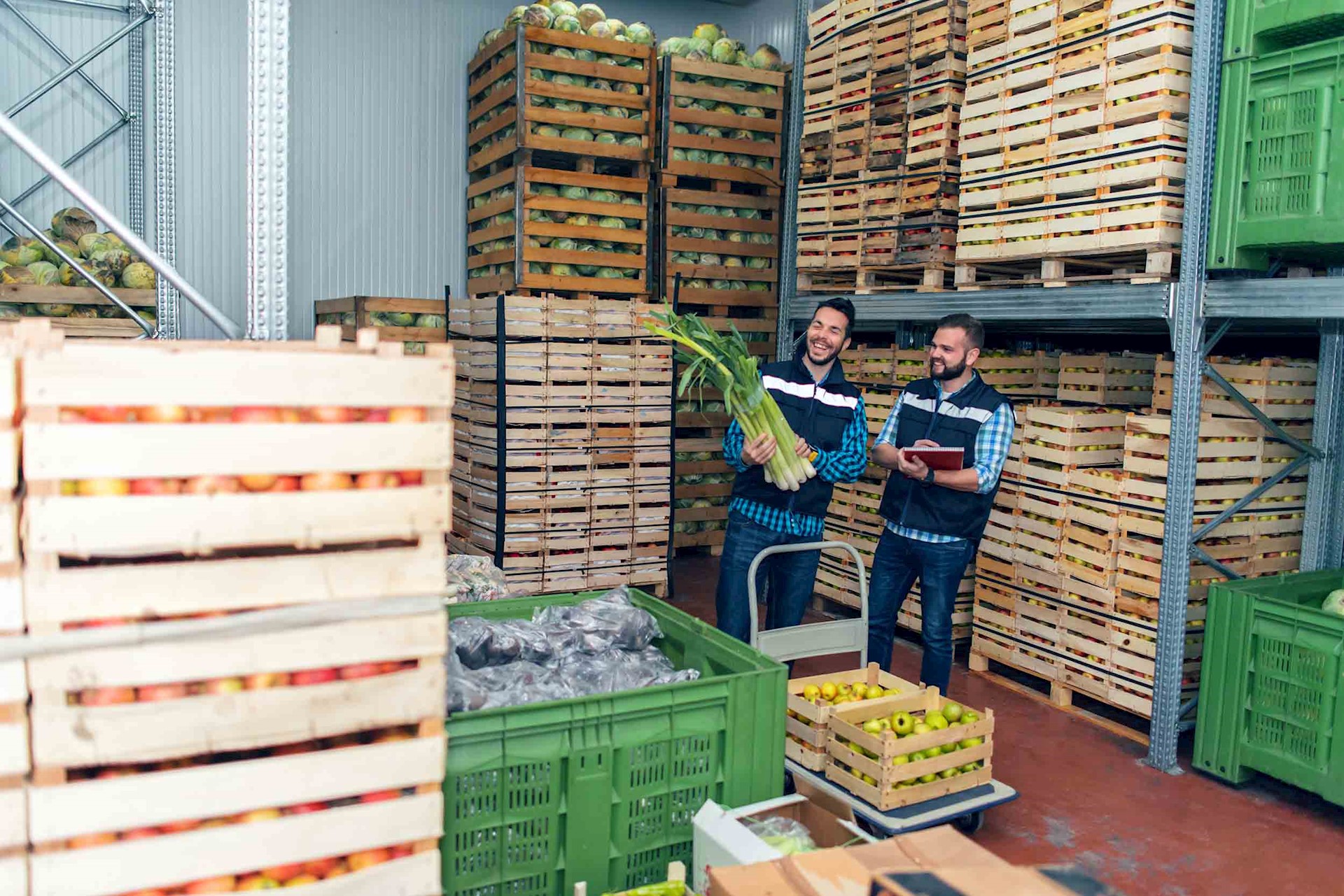 Warehouse With Guysweb